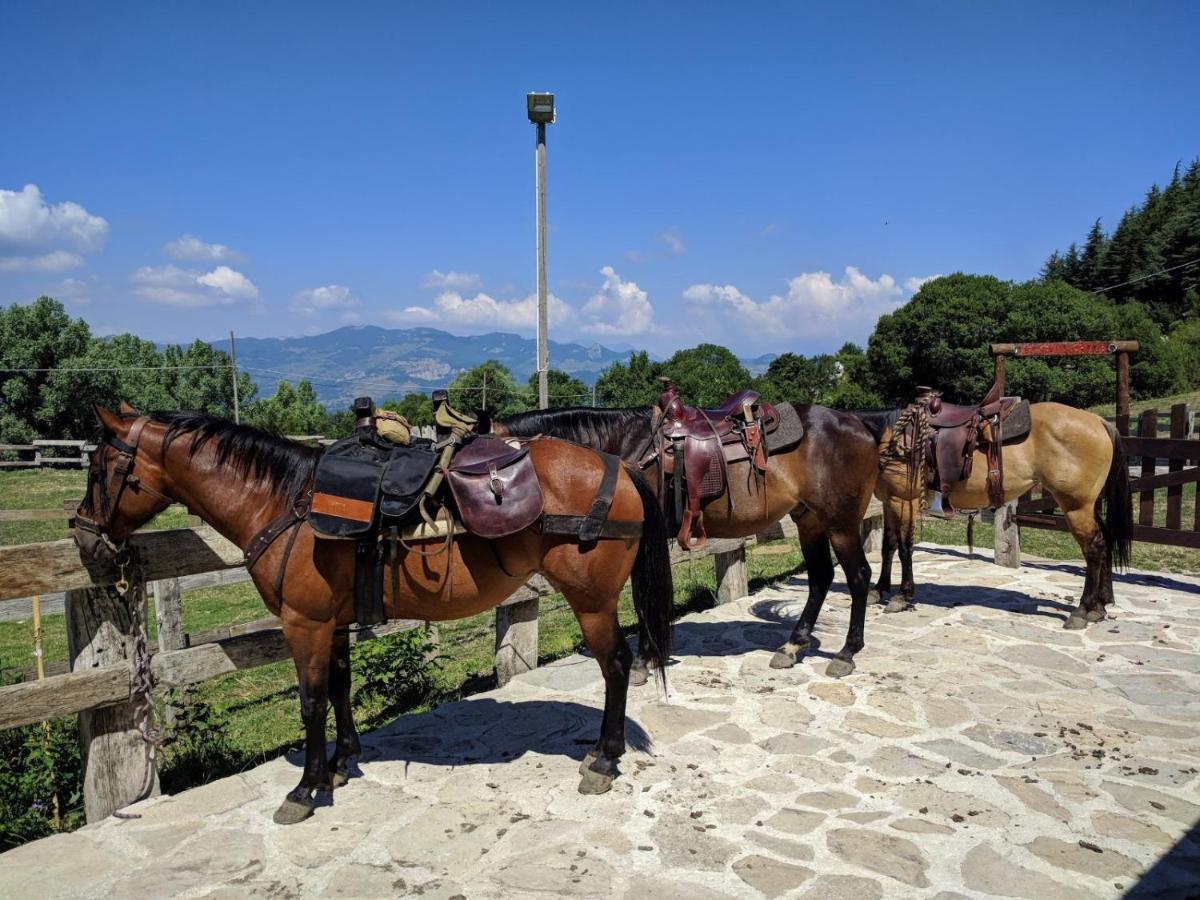 Hotel Capracotta Extérieur photo